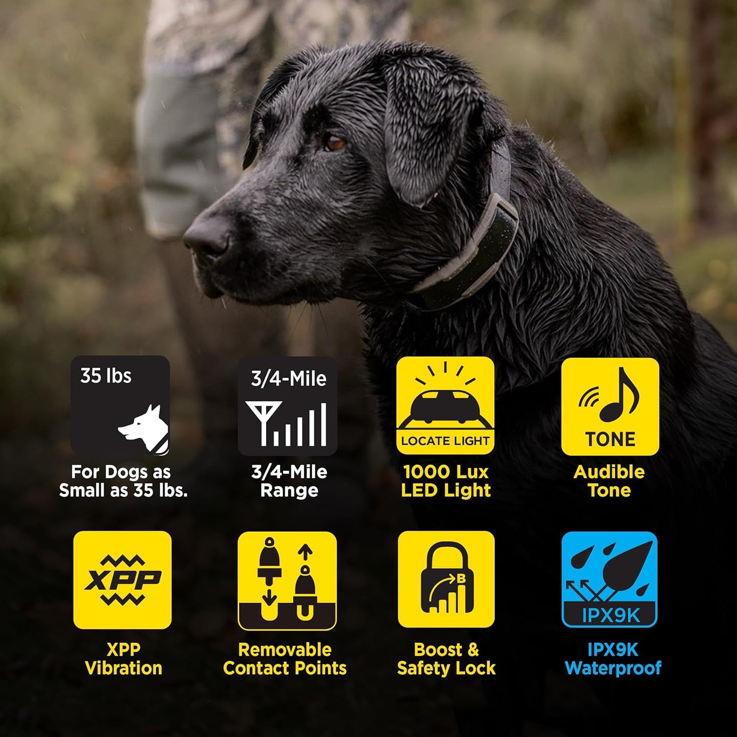 Dogtra 1900X Dog Training E-Collar
