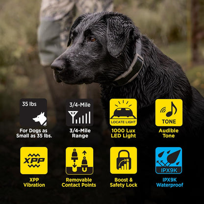 Dogtra 1900X Dog Training E-Collar