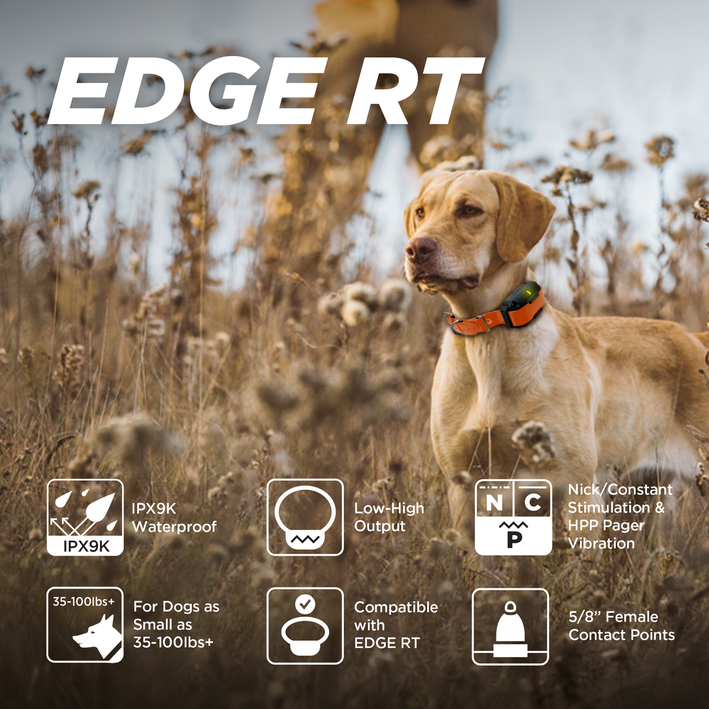Dogtra Edge RT Additional Receiver Collar - Orange