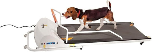 PetRun PR720F Motorized Dog Treadmill - Dogs up to 132 lbs