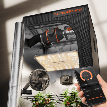 Spider Farmer 2x2 Complete Grow Tent Kit (SF1000 EVO LED + Ventilation System)