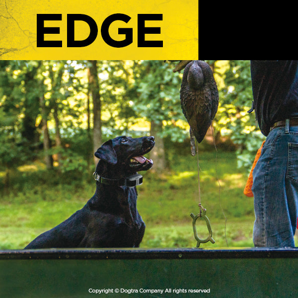 Dogtra EDGE Dog Training E-Collar - 1-Mile Range