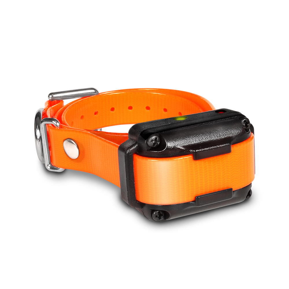 Dogtra IQ Plus Additional Receiver Collar - Orange