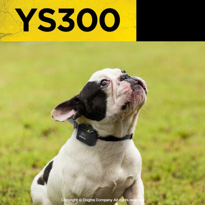 Dogtra YS300 No-Bark Collar - Automatic Anti-Bark Training
