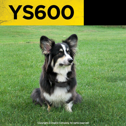 Dogtra YS600 Anti-Bark Collar - Waterproof, Rechargeable