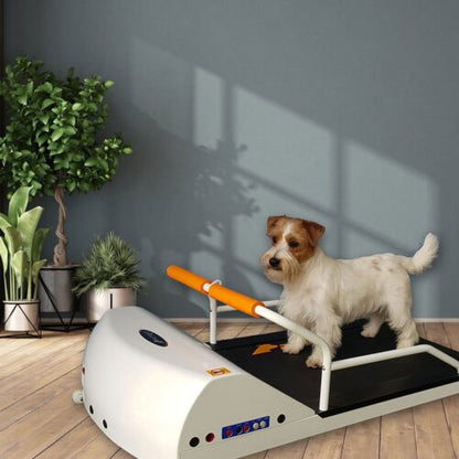 PetRun PR700 Motorized Dog Treadmill - Toy Breeds up to 44 lbs