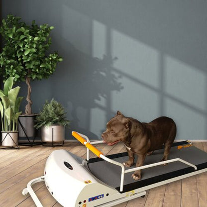 PetRun PR720F Motorized Dog Treadmill - Dogs up to 132 lbs