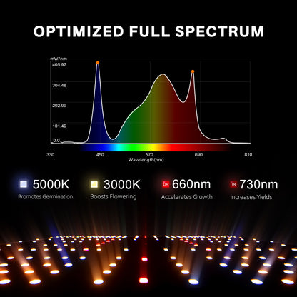 Spider Farmer 2x2 Complete Grow Tent Kit (SF1000 EVO LED + Ventilation System)