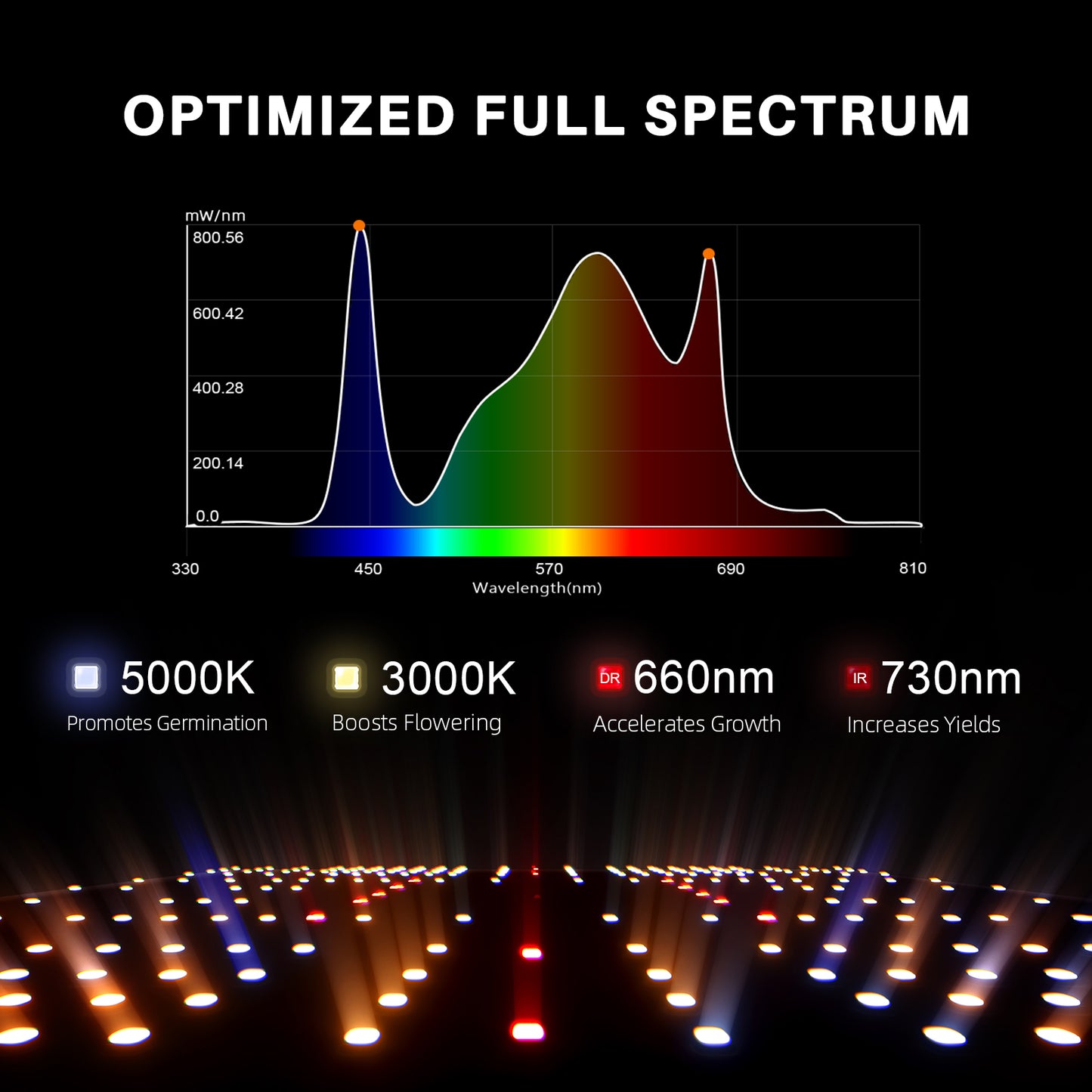 Spider Farmer 2x4 Complete Grow Tent Kit (SF2000 EVO LED + Ventilation System)