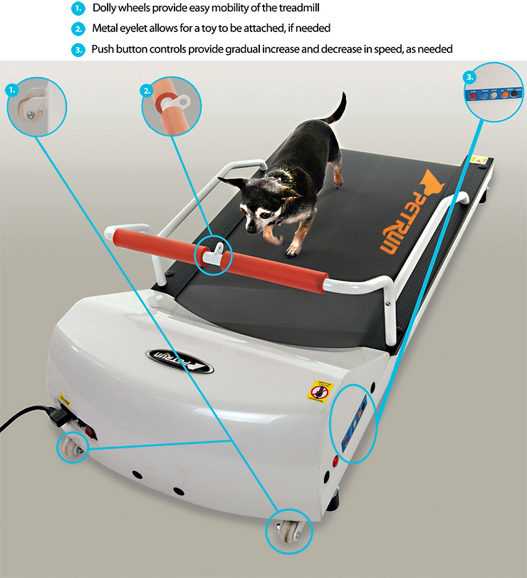 PetRun PR700 Motorized Dog Treadmill - Toy Breeds up to 44 lbs