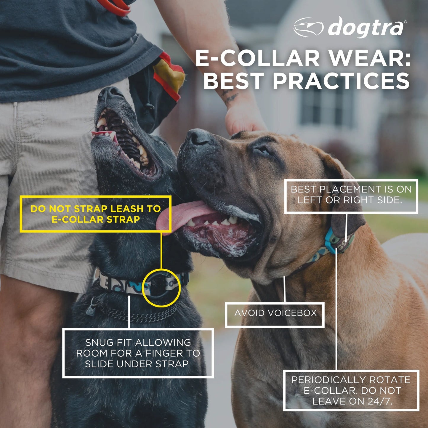 Dogtra EDGE Dog Training E-Collar - 1-Mile Range