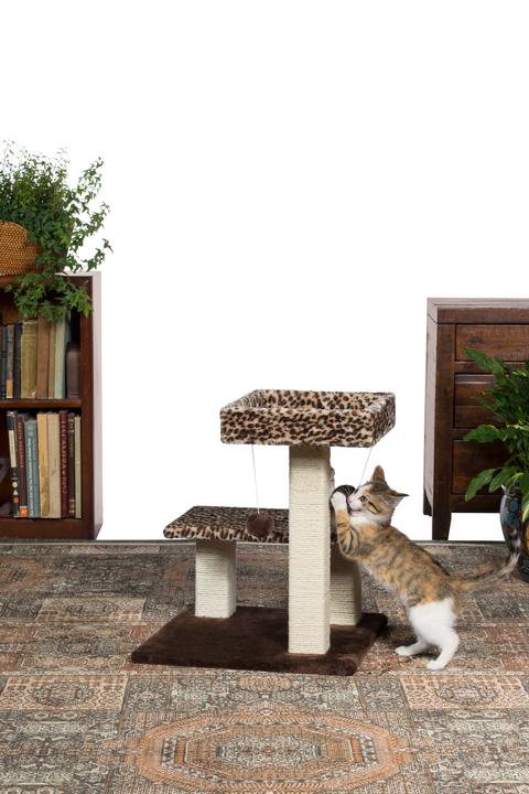 Prevue Pet Products Kitty Power Paws Sphere Scratching Post