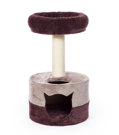 Prevue Pet Products Kitty Power Paws Play & Scratch Cat Toy