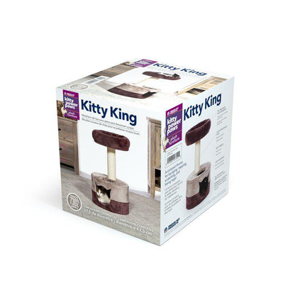 Prevue Pet Products Kitty Power Paws Play & Scratch Cat Toy