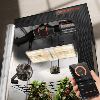 Spider Farmer 2x4 Complete Grow Tent Kit (SF2000 EVO LED + Ventilation System)